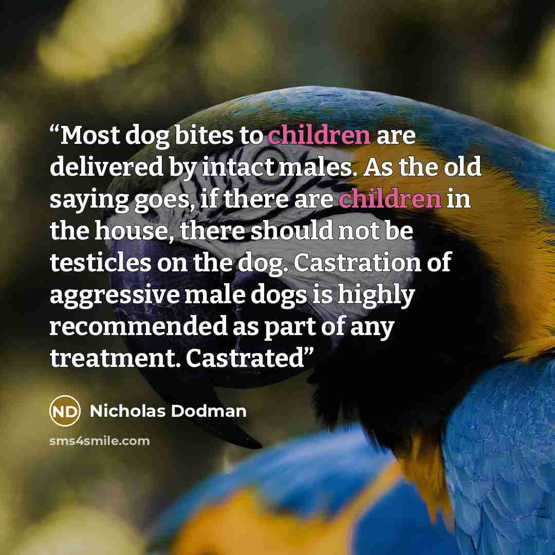 “Most dog bites to children are delivered by intact males. As the old saying goes, if there are children in the house, there should not be testicles on the dog. Castration of aggressive male dogs is highly recommended as part of any treatment. Castrated” quote by Nicholas Dodman