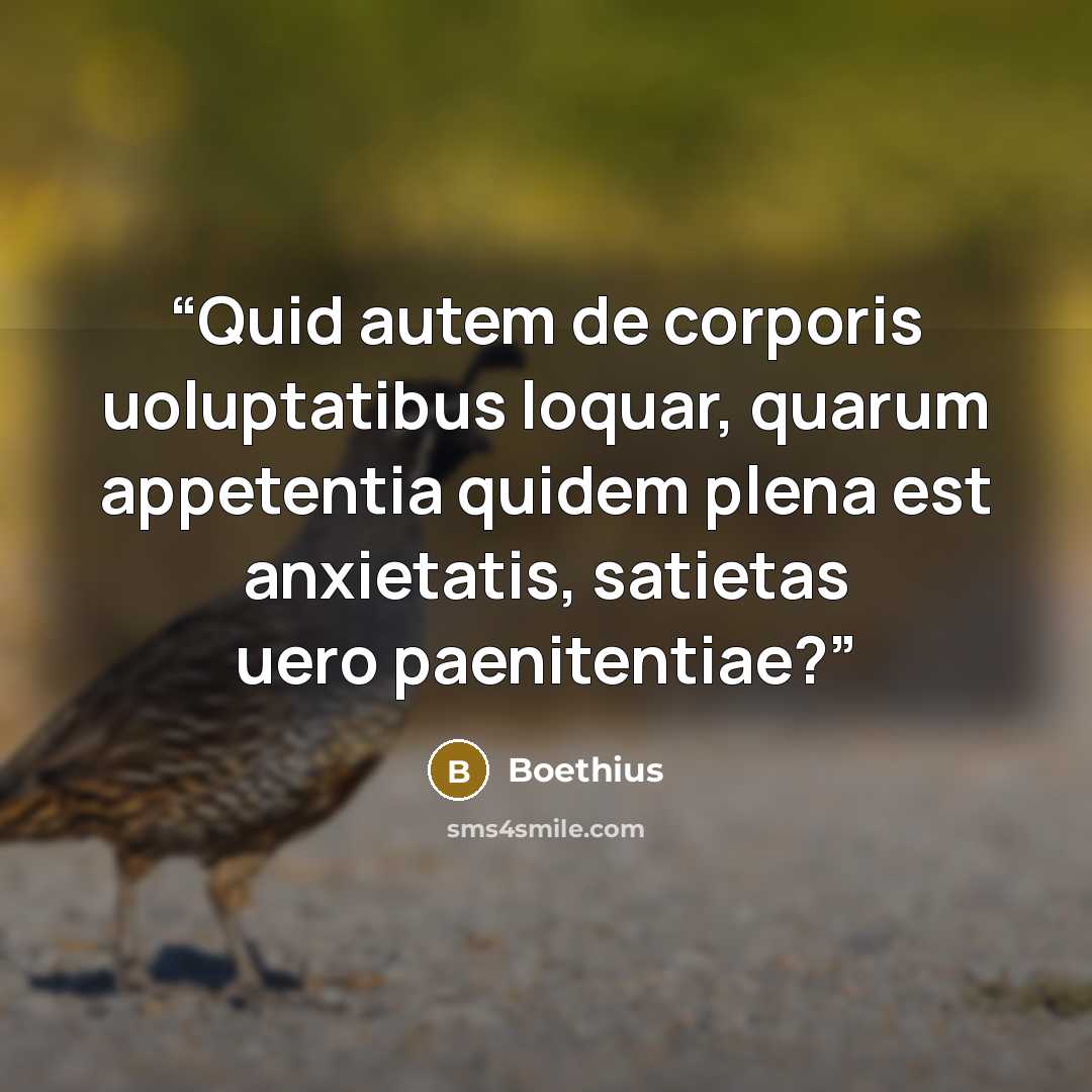 “Quid autem de corporis uoluptatibus loquar, quarum appetentia quidem plena est anxietatis, satietas uero paenitentiae?” quote by Boethius