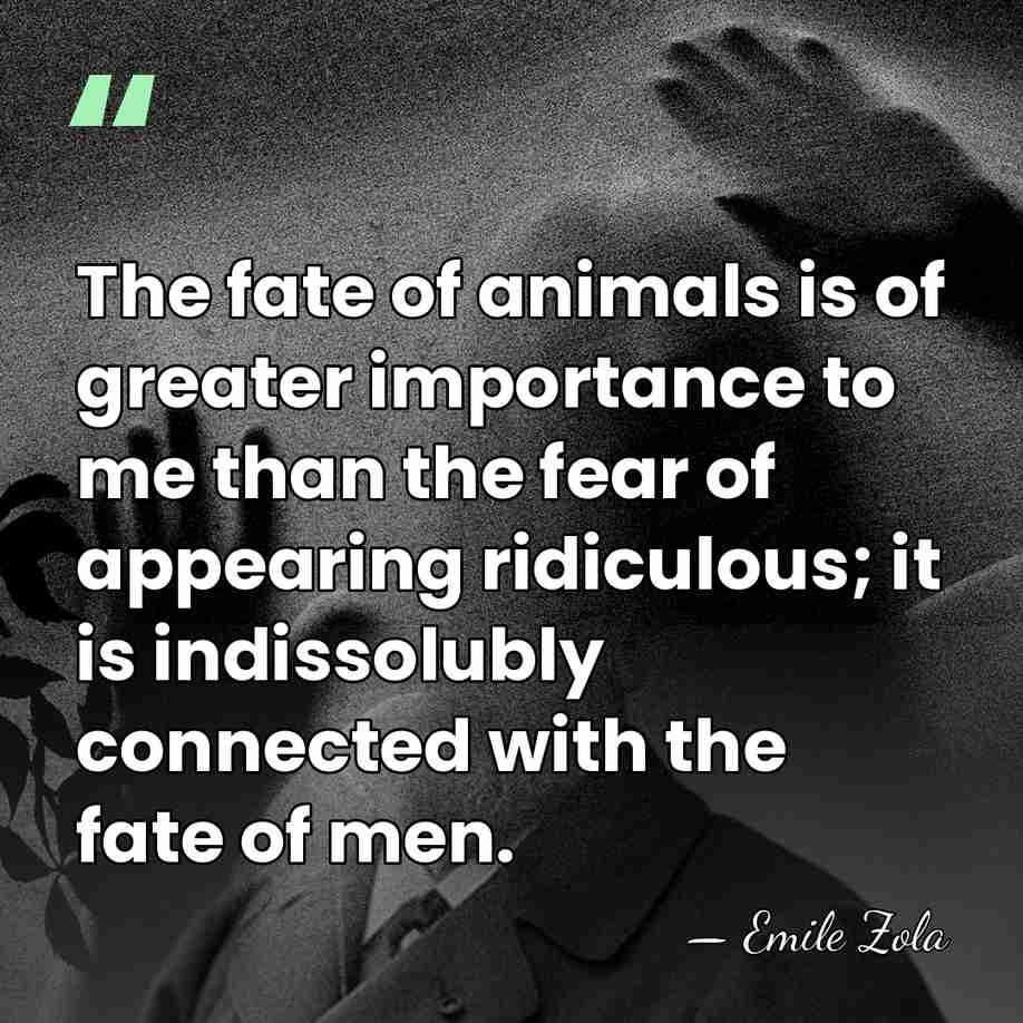 The fate of animals is of greater importance to me than the&hellip; - Emile Zola