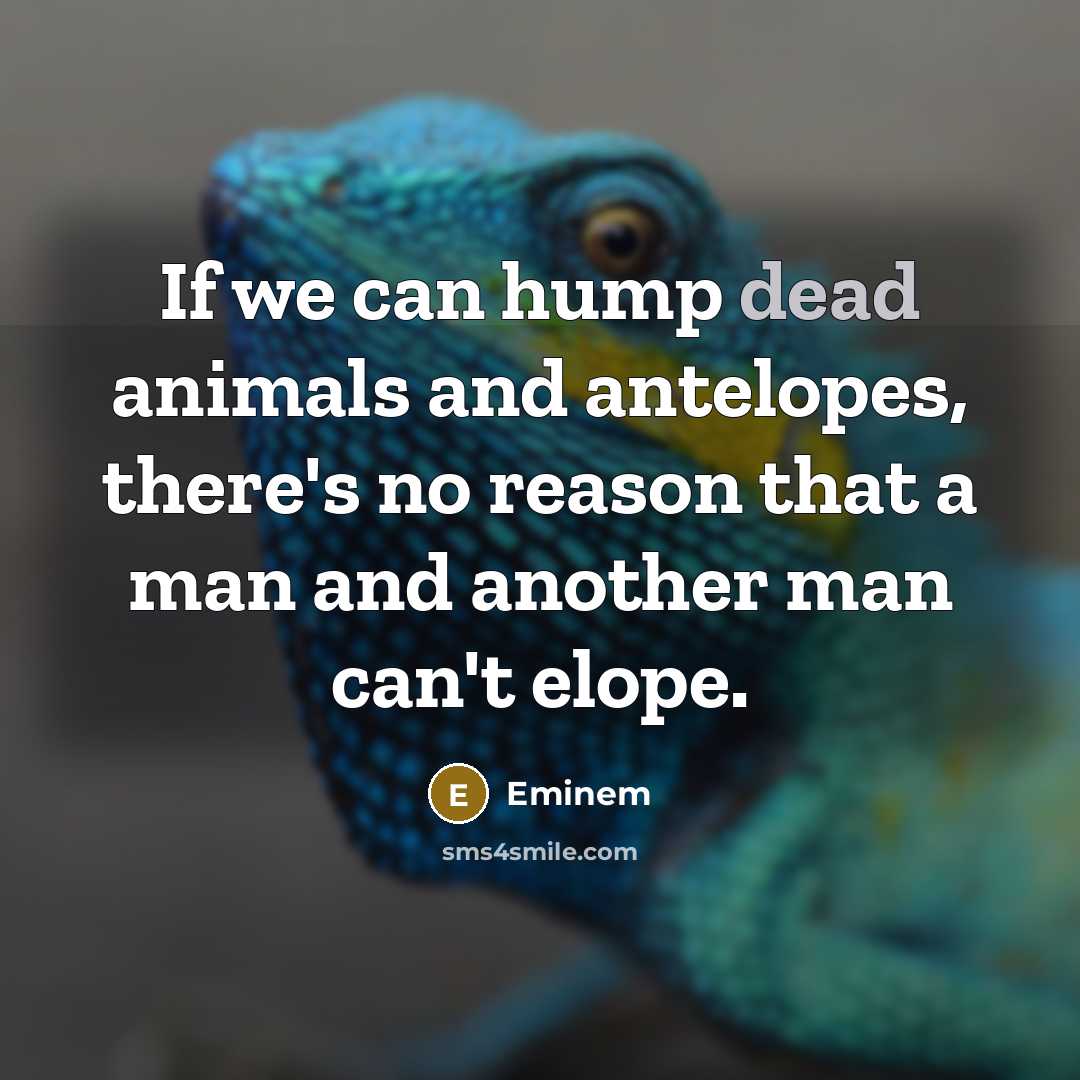 “If we can hump dead animals and antelopes, there's no…” quote by Eminem