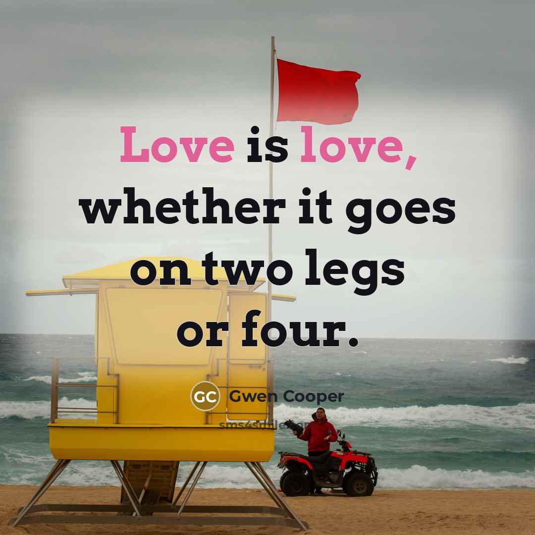 “Love is love, whether it goes on two legs or…” quote by Gwen Cooper