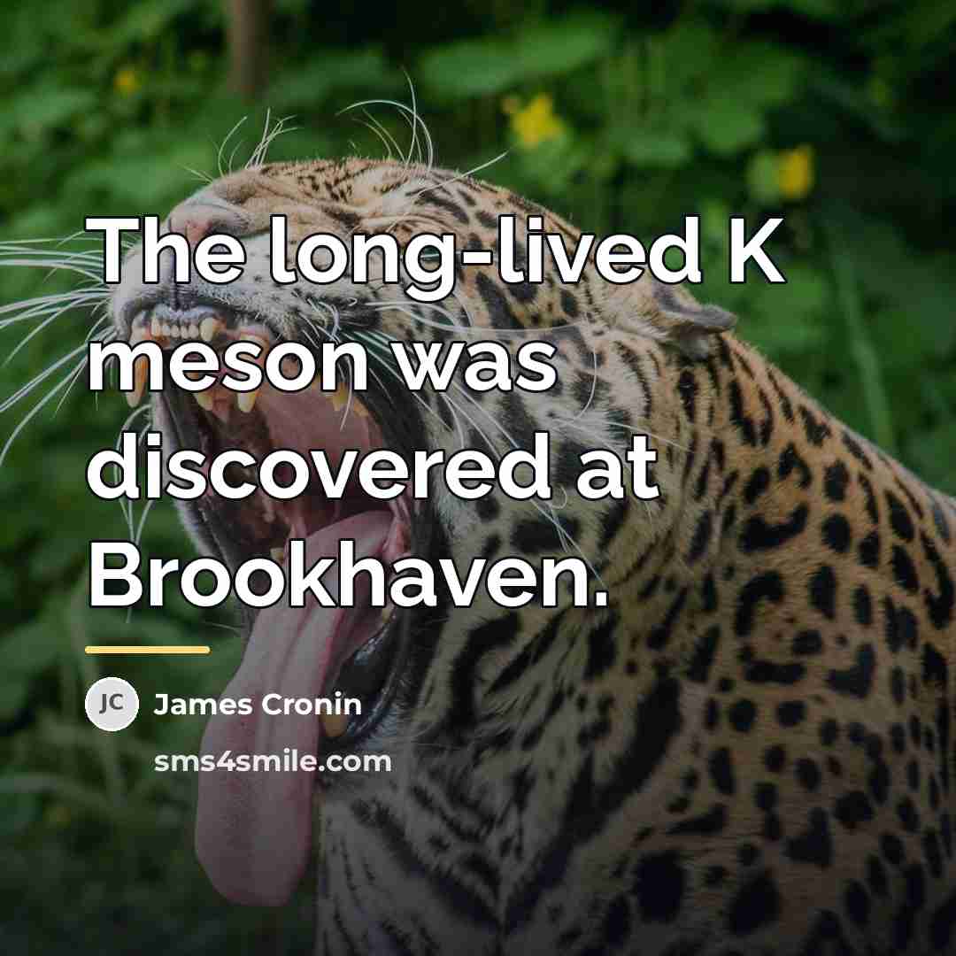 “The long-lived K meson was discovered at Brookhaven.…” quote by James Cronin