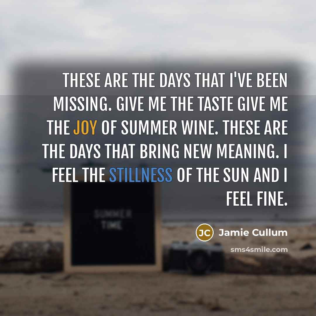 “These are the days that I've been missing. Give me the taste give me the joy of summer wine. These are the days that bring new meaning. I feel the stillness of the sun and I feel fine.” quote by Jamie Cullum