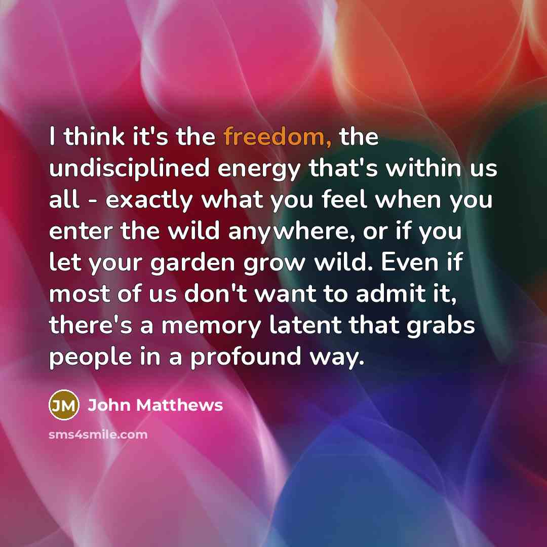 “I think it's the freedom, the undisciplined energy that's within…” quote by John Matthews