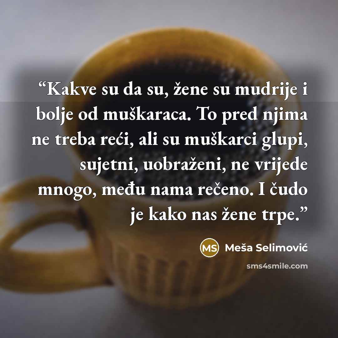 “Kakve su da su, žene su mudrije i bolje od muškaraca. To pred njima ne treba reći, ali su muškarci glupi, sujetni, uobraženi, ne vrijede mnogo, među nama rečeno. I čudo je kako nas žene trpe.” quote by Mesa Selimovic