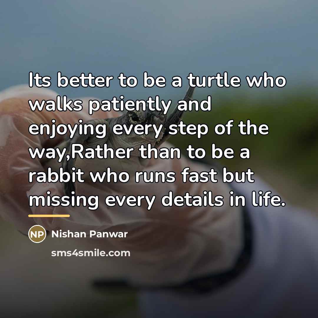 “Its better to be a turtle who walks patiently and…” quote by Nishan Panwar