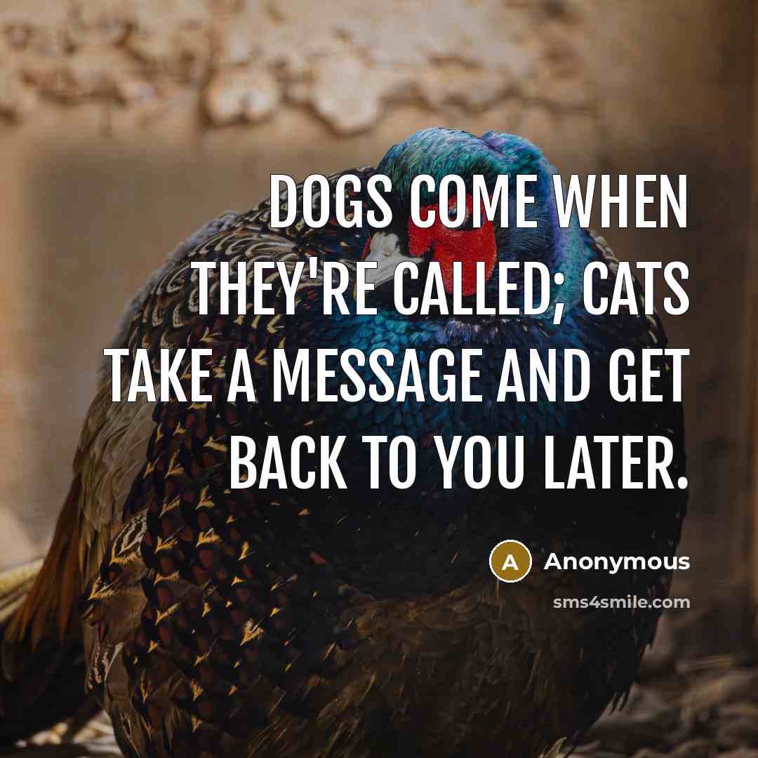 “Dogs come when they're called; cats take a message and…” quote by Anonymous