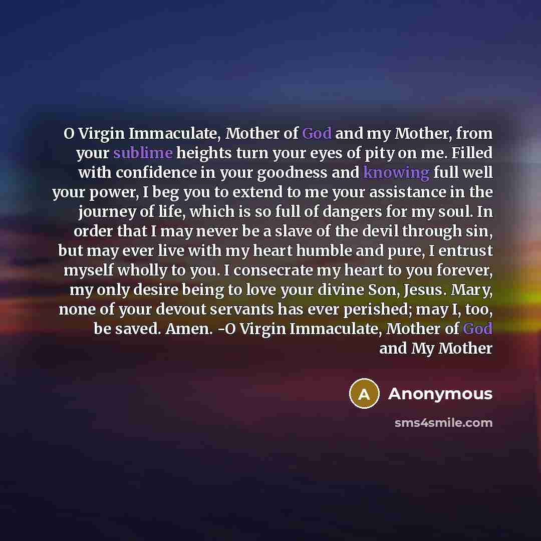 “O Virgin Immaculate, Mother of God and my Mother, from…” quote by Anonymous