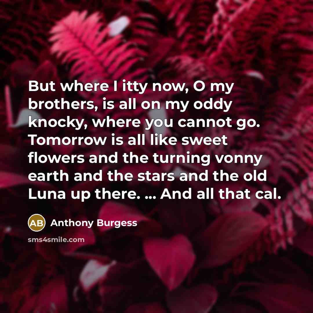 “But where I itty now, O my brothers, is all…” quote by Anthony Burgess