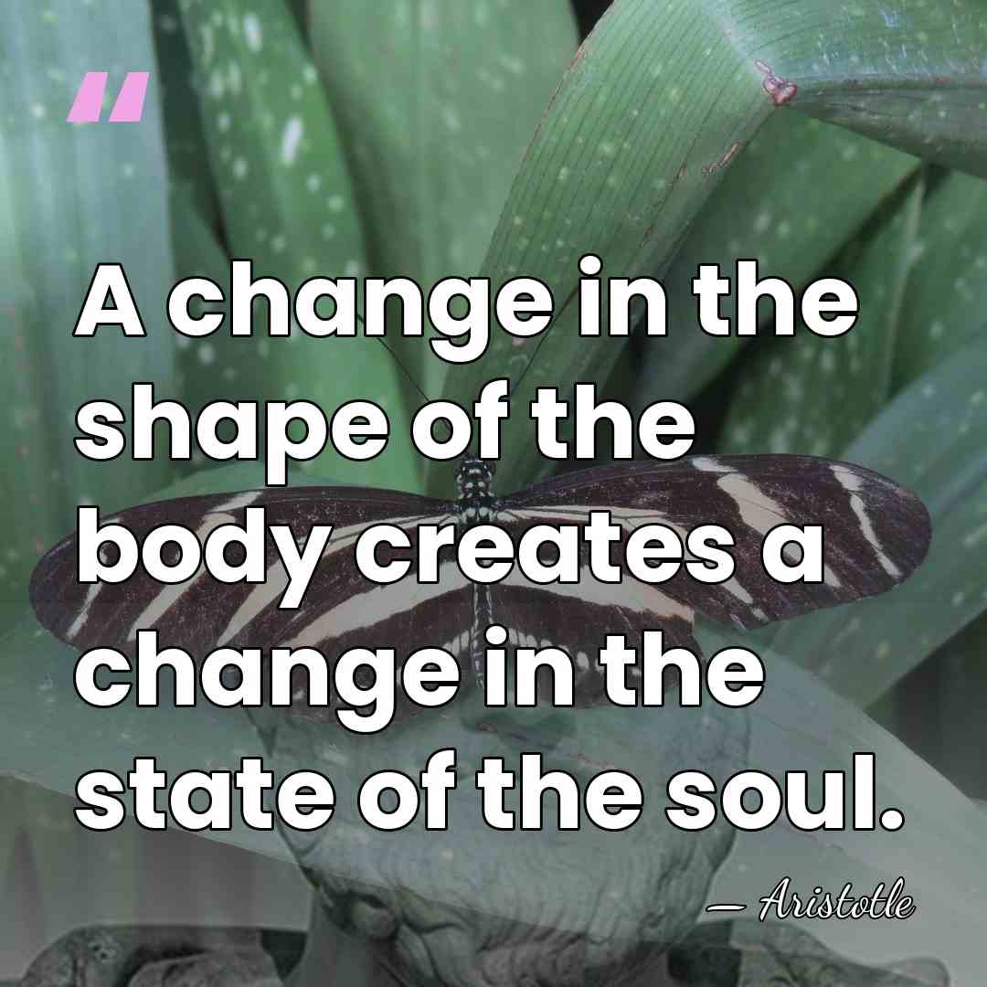 A change in the shape of the body creates a change in&hellip; - Aristotle
