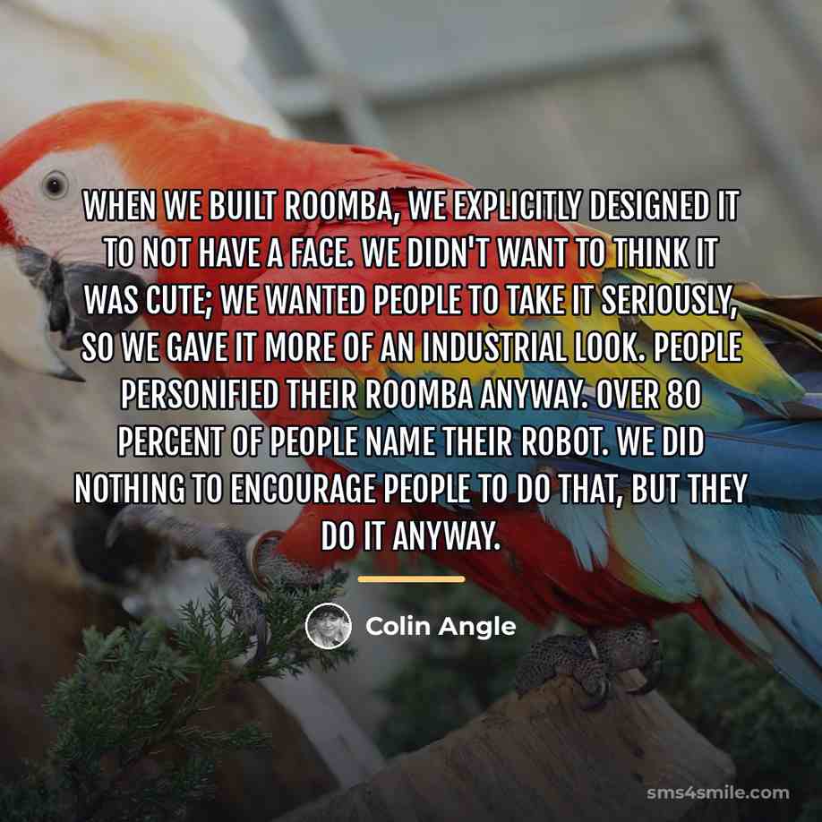 “When we built Roomba, we explicitly designed it to not…” quote by Colin Angle