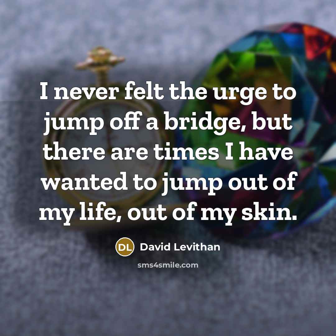 “I never felt the urge to jump off a bridge,…” quote by David Levithan
