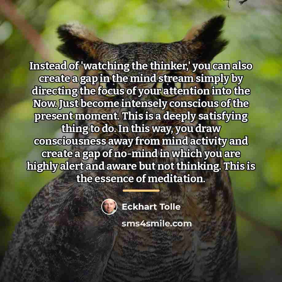 “Instead of 'watching the thinker,' you can also create a…” quote by Eckhart Tolle