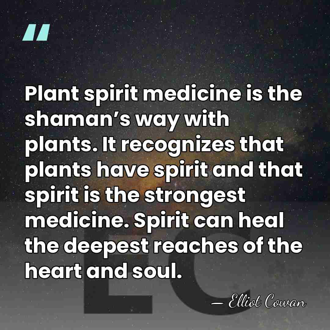 Plant spirit medicine is the shaman’s way with plants. It recognizes that&hellip; - Elliot Cowan