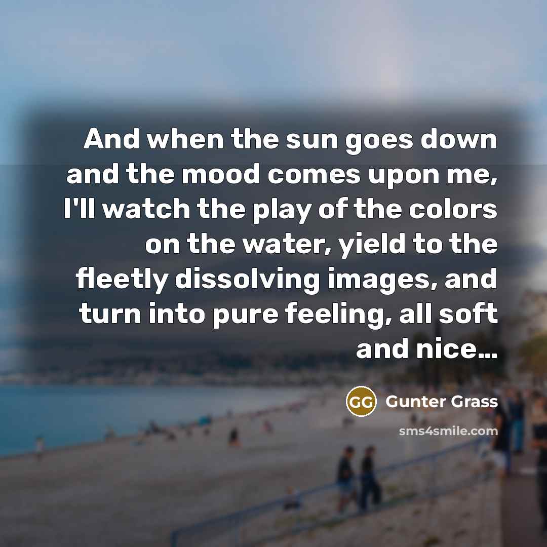 “And when the sun goes down and the mood comes…” quote by Gunter Grass