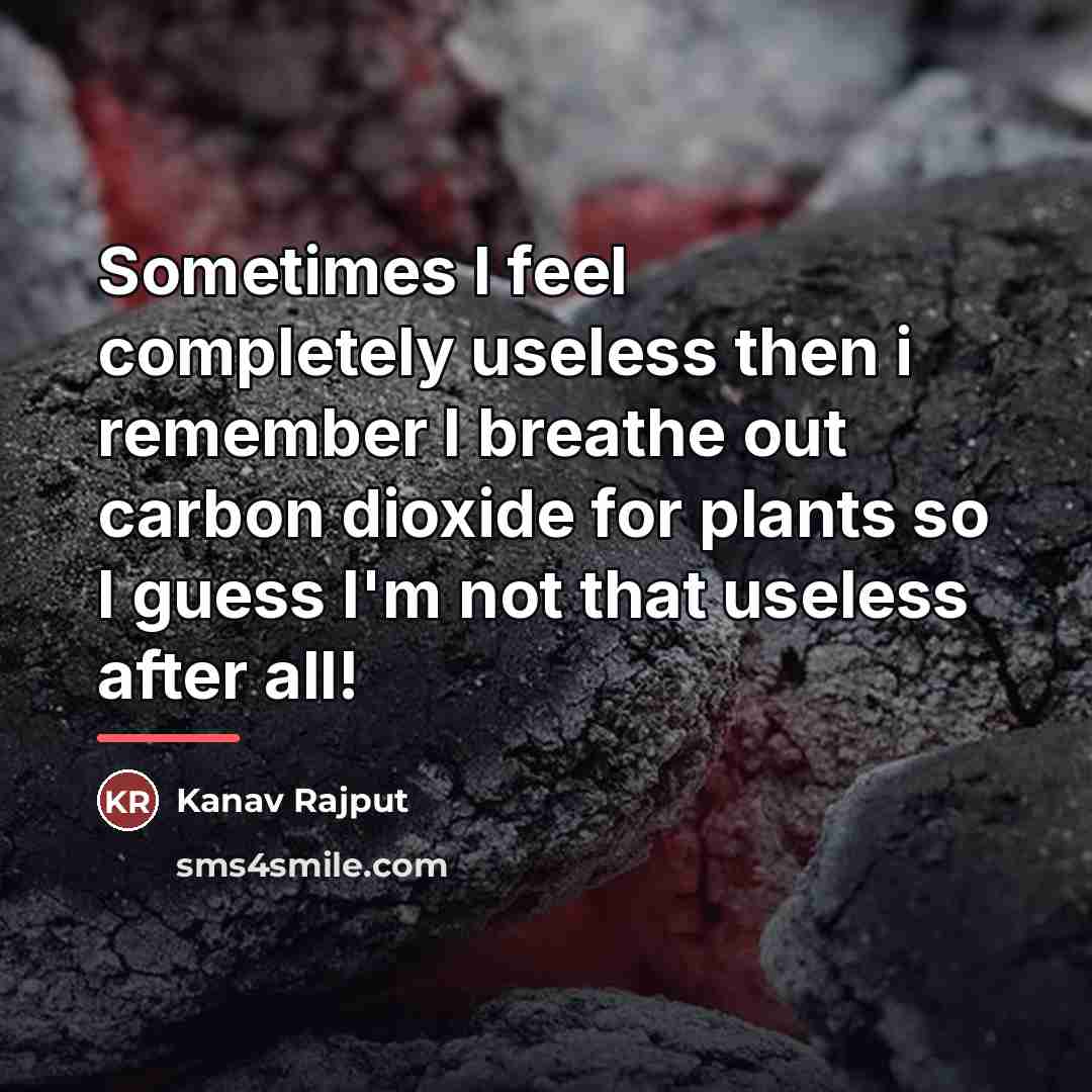“Sometimes I feel completely useless then i remember I breathe…” quote by Kanav Rajput