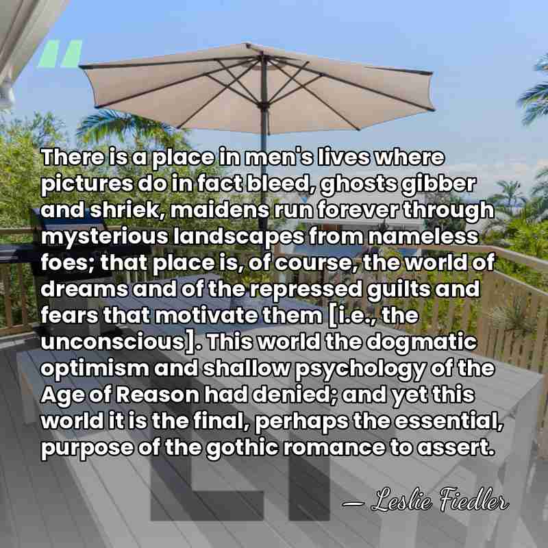 There is a place in men's lives where pictures do in fact&hellip; - Leslie Fiedler