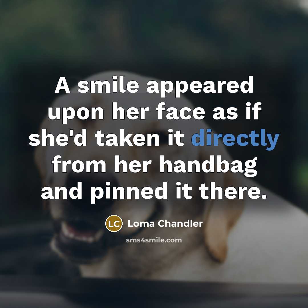 “A smile appeared upon her face as if she'd taken it directly from her handbag and pinned it there.” quote by Loma Chandler