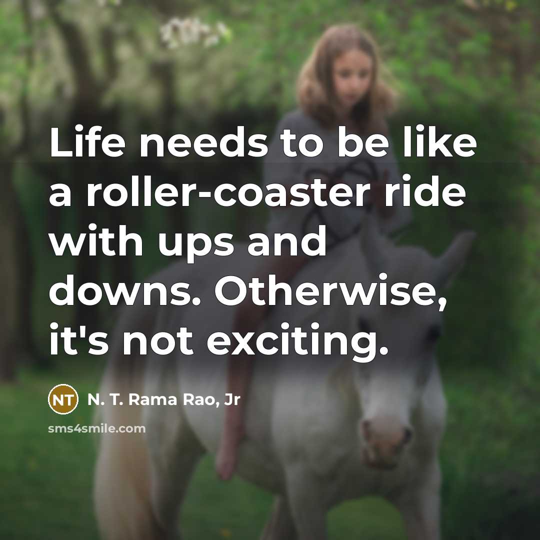 “Life needs to be like a roller-coaster ride with ups and downs. Otherwise, it's not exciting.” quote by N. T. Rama Rao, Jr