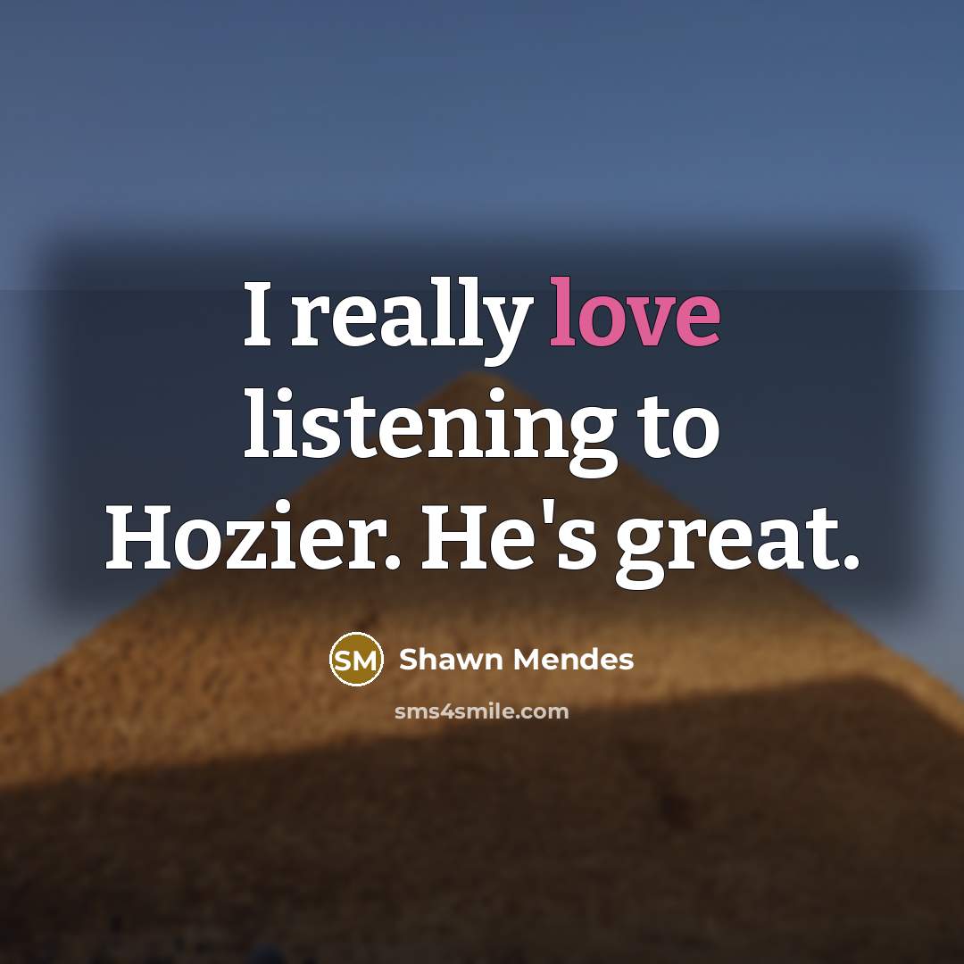 “I really love listening to Hozier. He's great.…” quote by Shawn Mendes