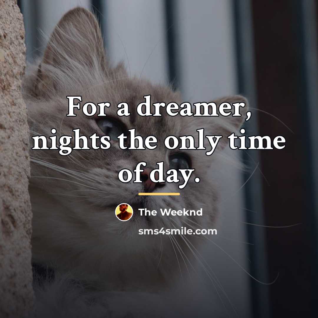 “For a dreamer, nights the only time of day.…” quote by The Weeknd