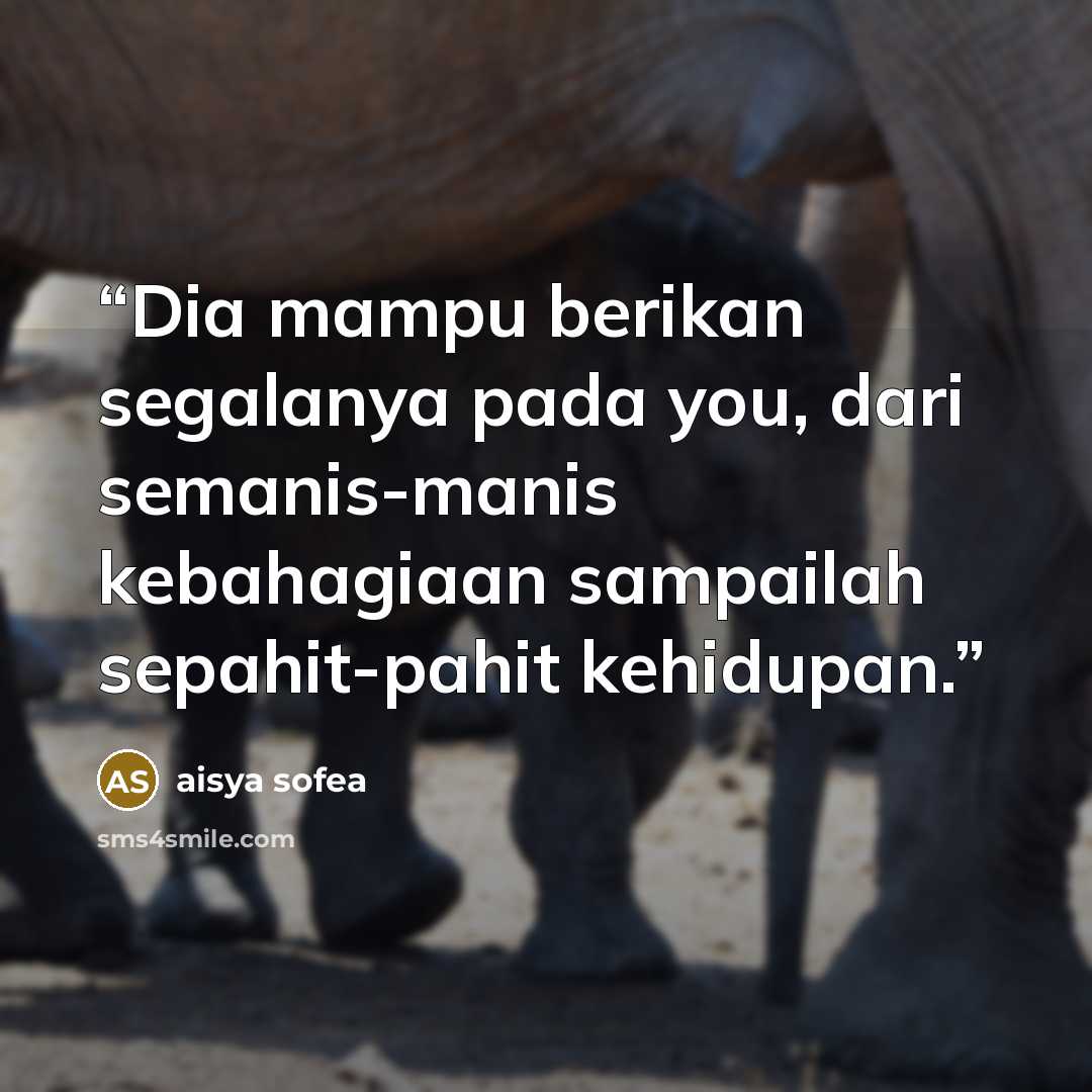 “Dia mampu berikan segalanya pada you, dari semanis-manis kebahagiaan sampailah sepahit-pahit kehidupan.” quote by Aisya Sofea