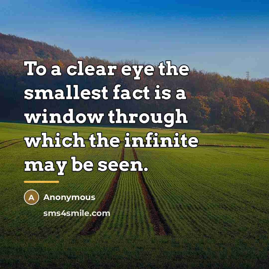“To a clear eye the smallest fact is a window…” quote by Anonymous
