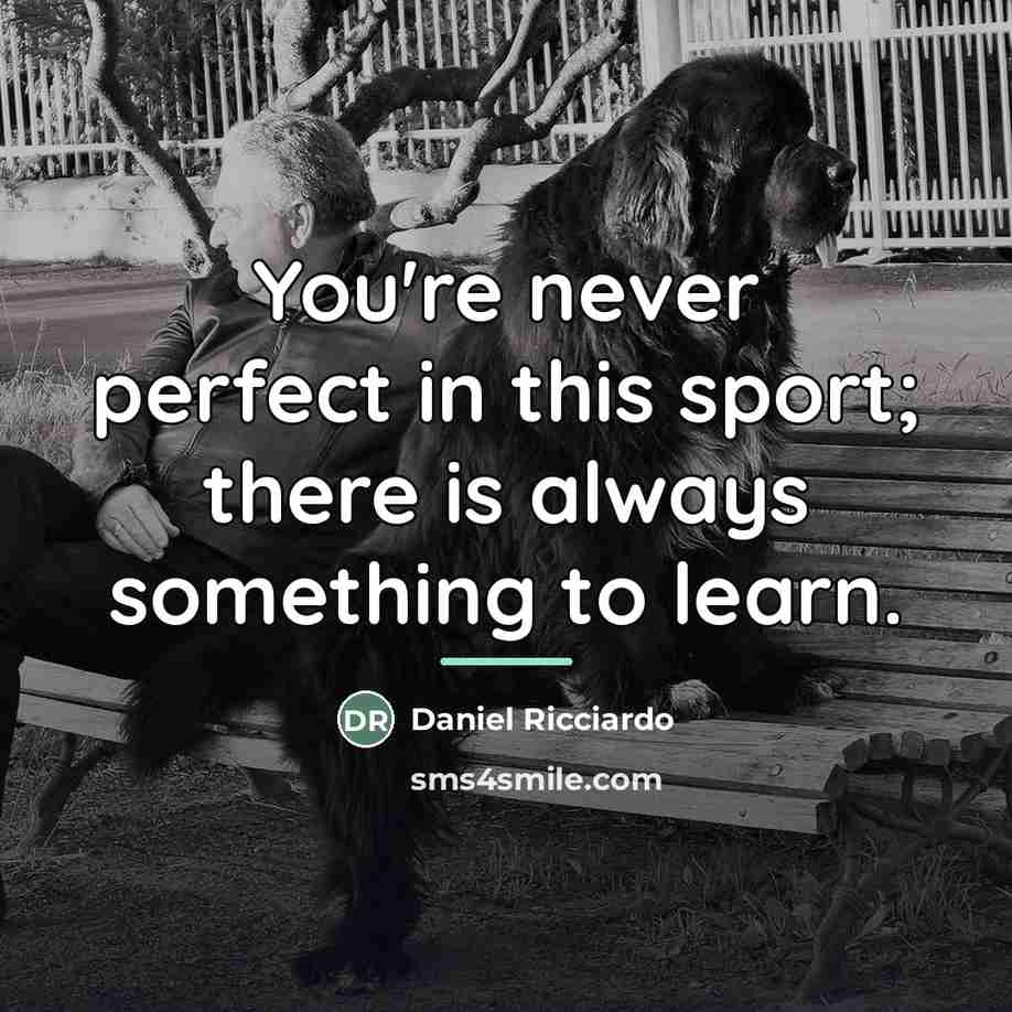 “You're never perfect in this sport; there is always something…” quote by Daniel Ricciardo