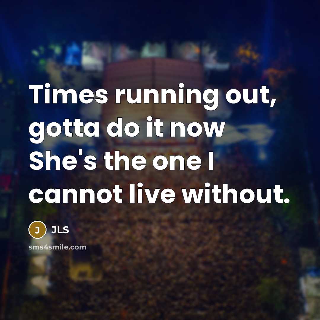“Times running out, gotta do it now She's the one…” quote by JLS