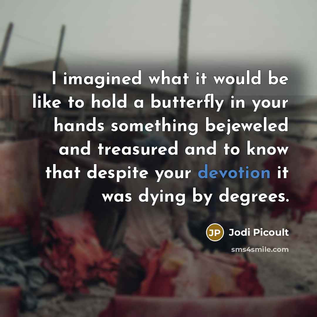 “I imagined what it would be like to hold a…” quote by Jodi Picoult