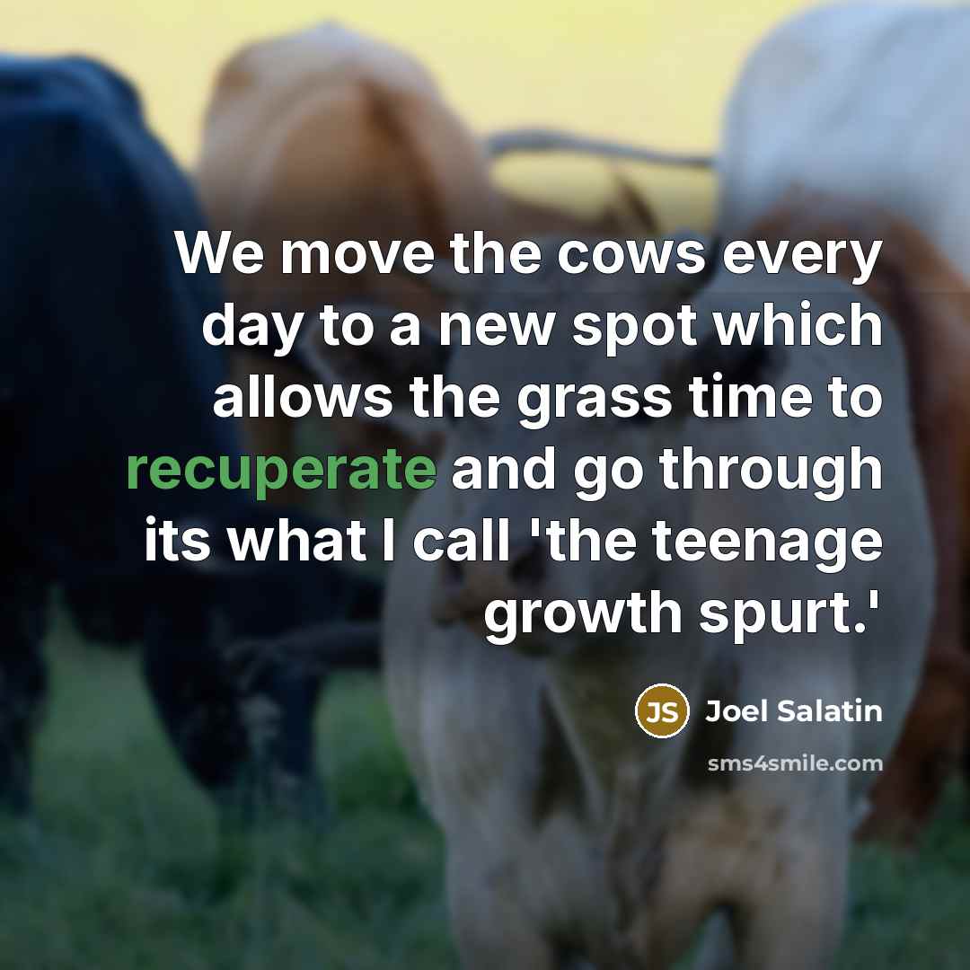 “We move the cows every day to a new spot…” quote by Joel Salatin