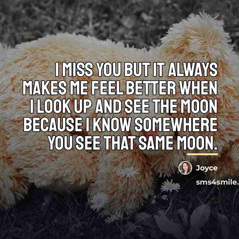 “I miss you but it always makes me feel better…” quote by Joyce