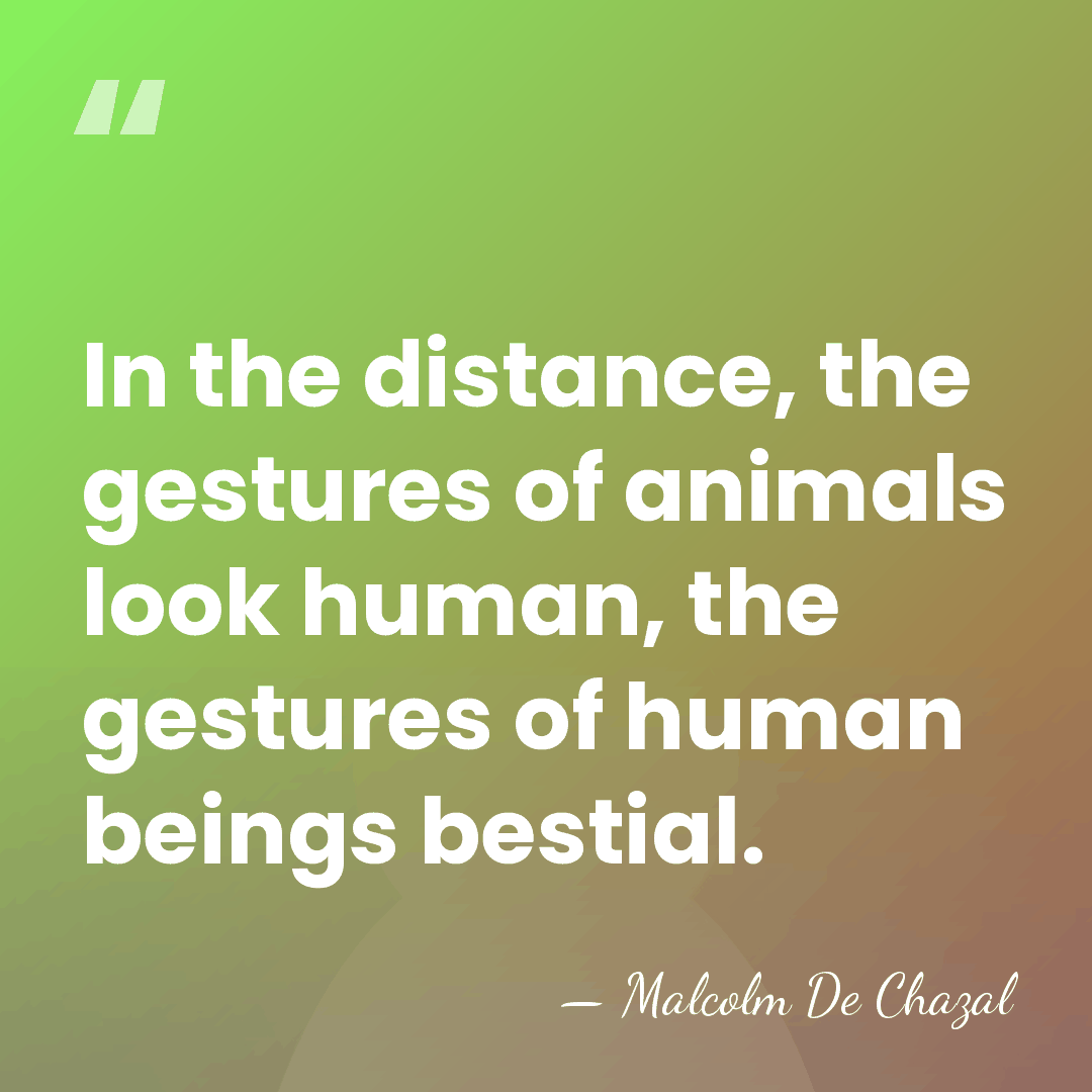 In the distance, the gestures of animals look human, the gestures of&hellip; - Malcolm De Chazal