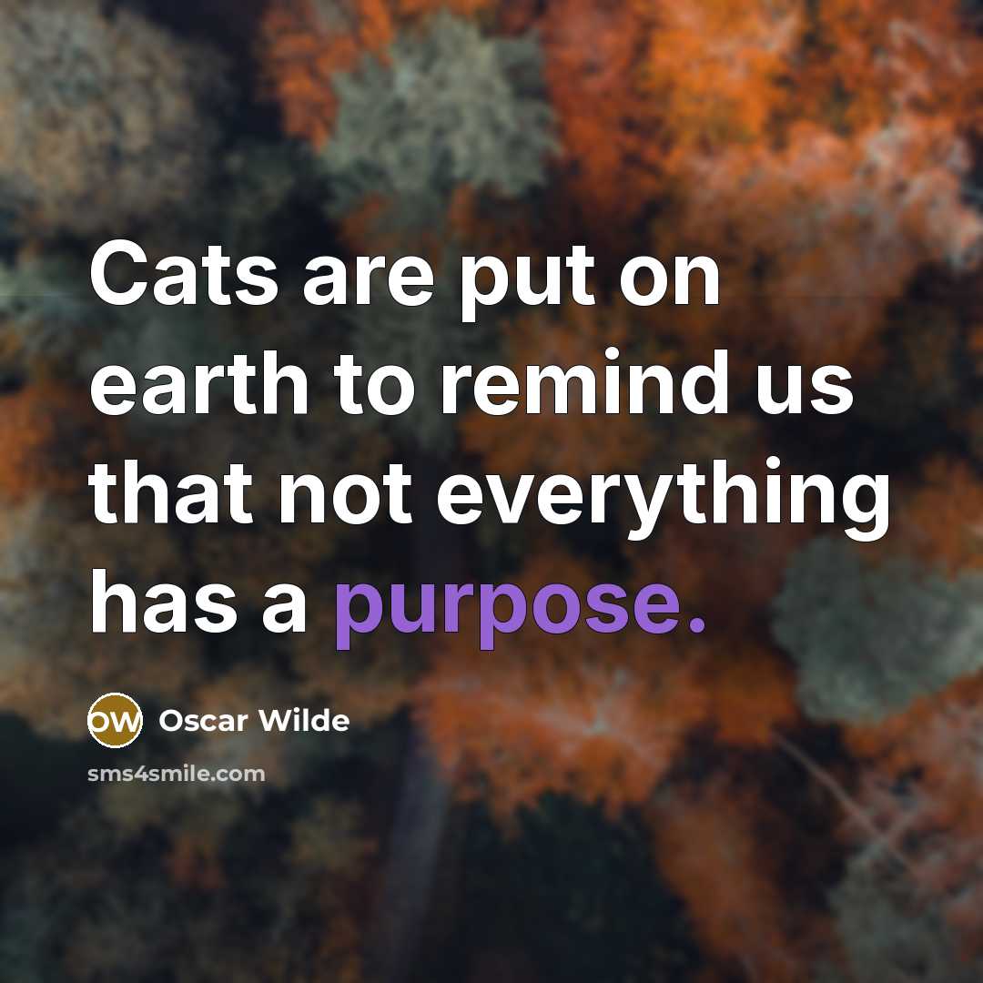 “Cats are put on earth to remind us that not…” quote by Oscar Wilde