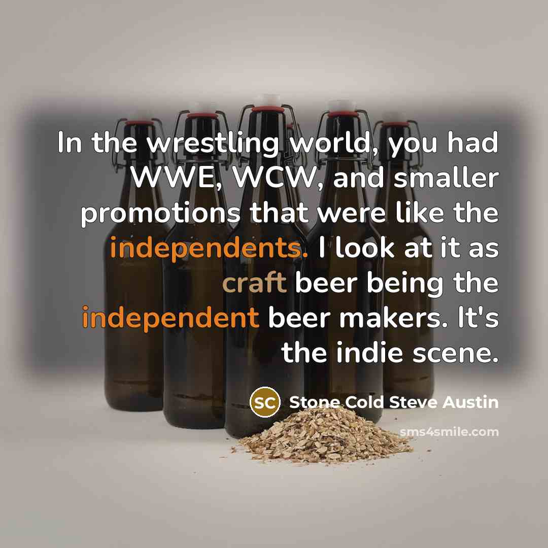 “In the wrestling world, you had WWE, WCW, and smaller…” quote by Stone Cold Steve Austin