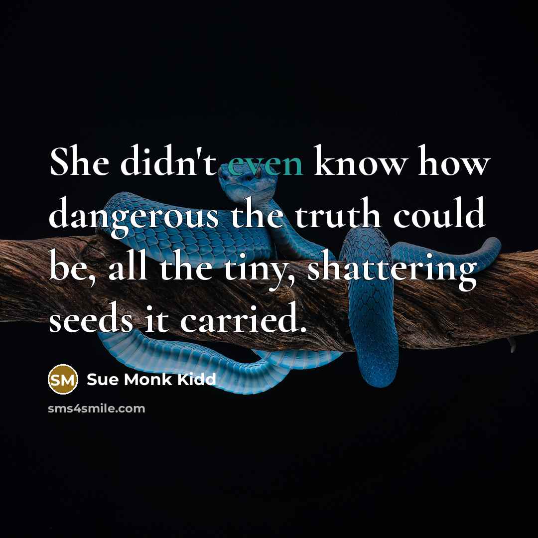 “She didn't even know how dangerous the truth could be,…” quote by Sue Monk Kidd