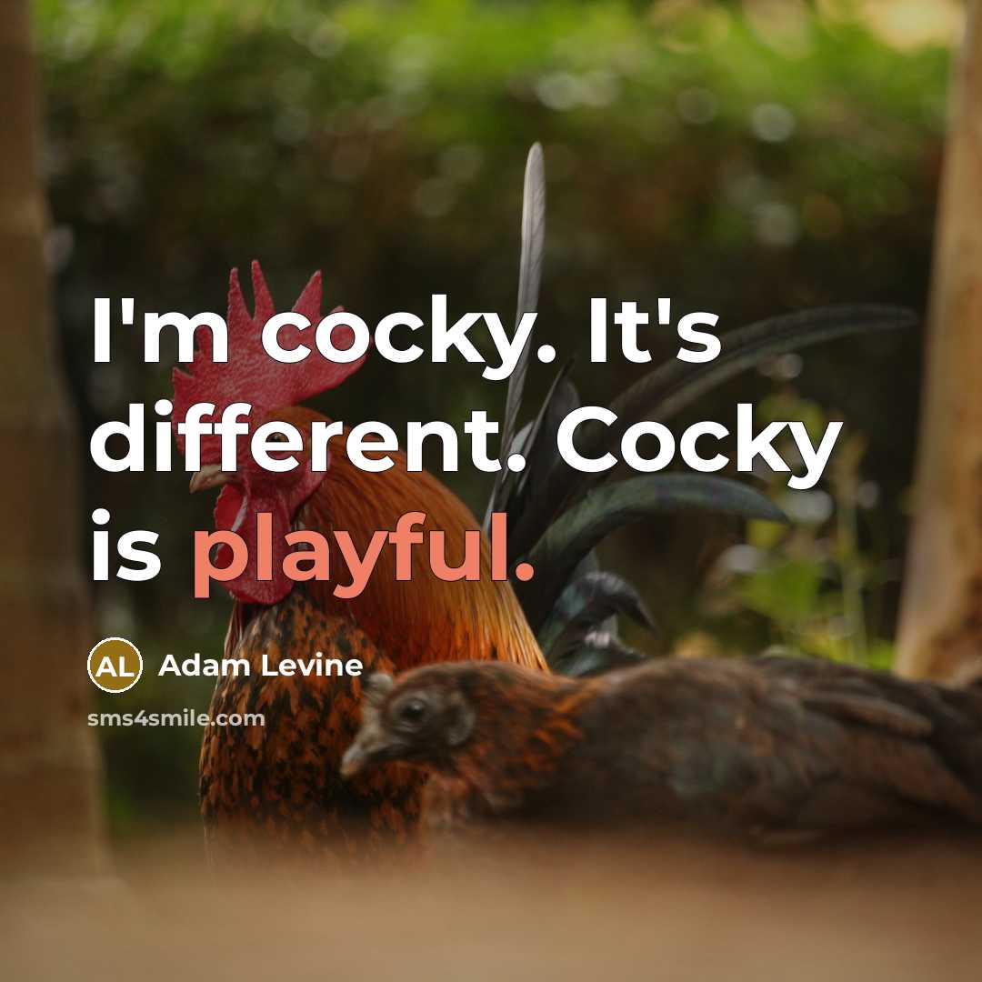 “I'm cocky. It's different. Cocky is playful.…” quote by Adam Levine