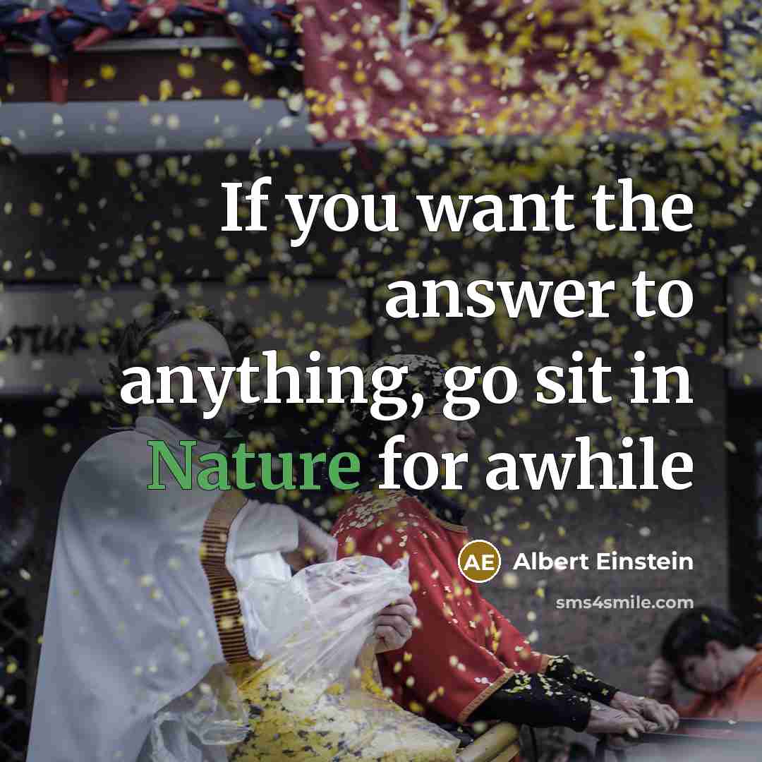 “If you want the answer to anything, go sit in…” quote by Albert Einstein