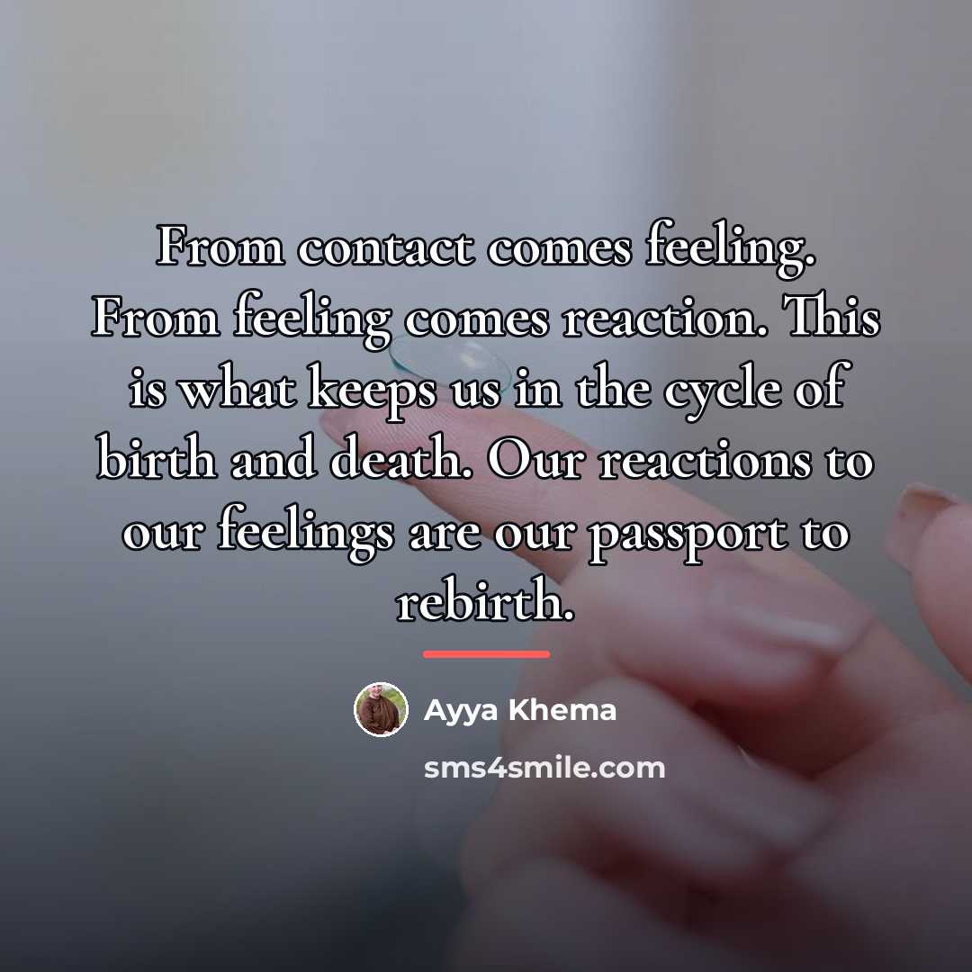 “From contact comes feeling. From feeling comes reaction. This is…” quote by Ayya Khema