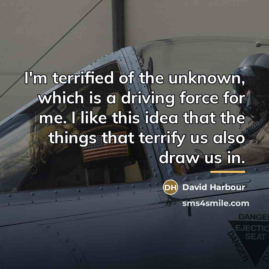 “I'm terrified of the unknown, which is a driving force…” quote by David Harbour