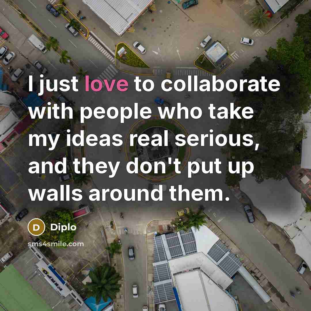 “I just love to collaborate with people who take my…” quote by Diplo