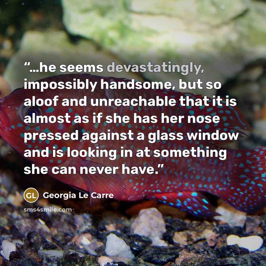 “…he seems devastatingly, impossibly handsome, but so aloof and unreachable that it is almost as if she has her nose pressed against a glass window and is looking in at something she can never have.” quote by Georgia Le Carre