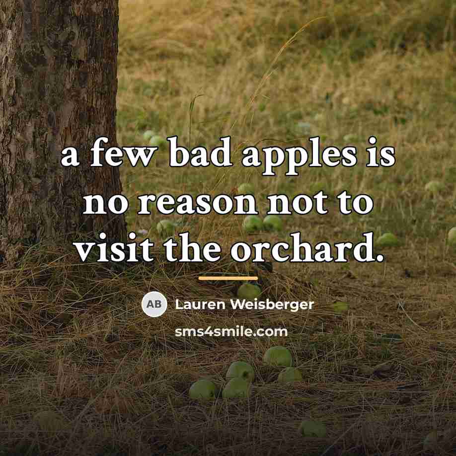 “a few bad apples is no reason not to visit…” quote by Lauren Weisberger