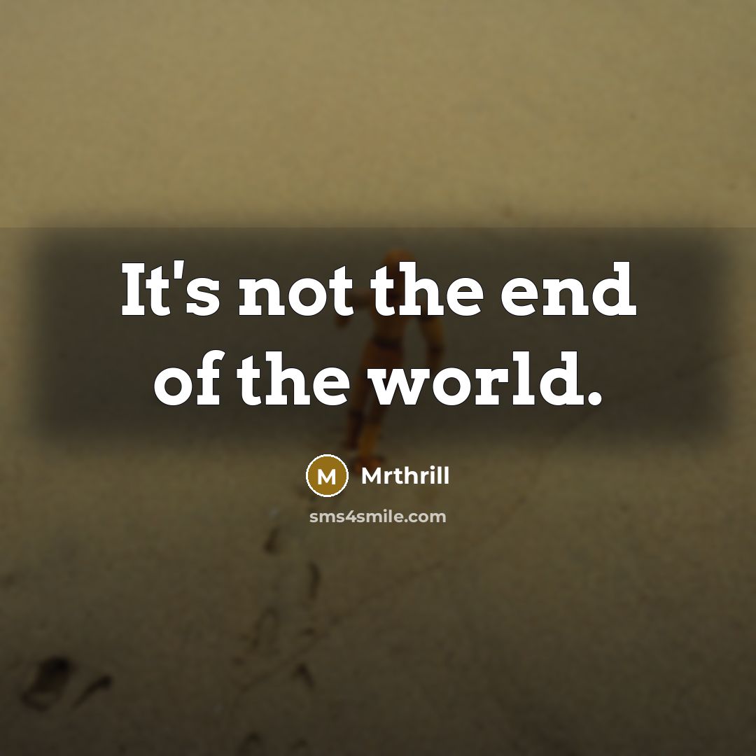 “It's not the end of the world.…” quote by Mrthrill