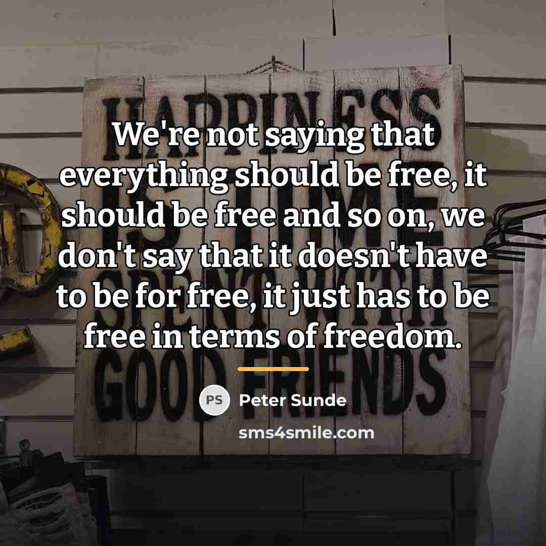 “We're not saying that everything should be free, it should…” quote by Peter Sunde