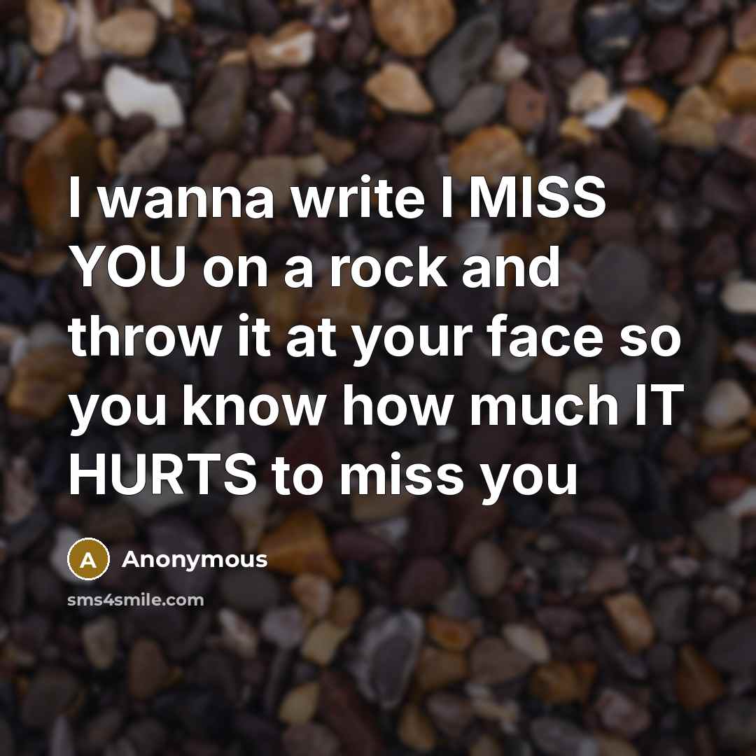 “I wanna write I MISS YOU on a rock and…” quote by Anonymous