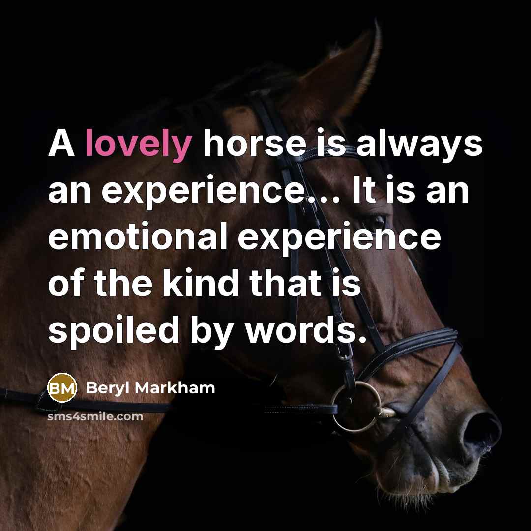 “A lovely horse is always an experience.... It is an…” quote by Beryl Markham