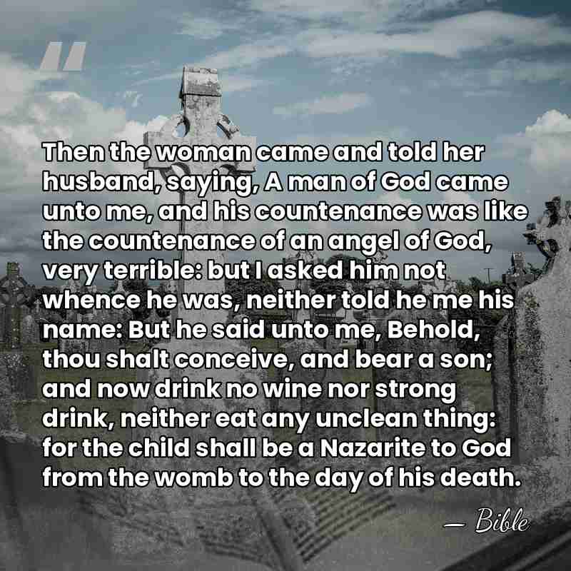 Then the woman came and told her husband, saying, A man of&hellip; - Bible