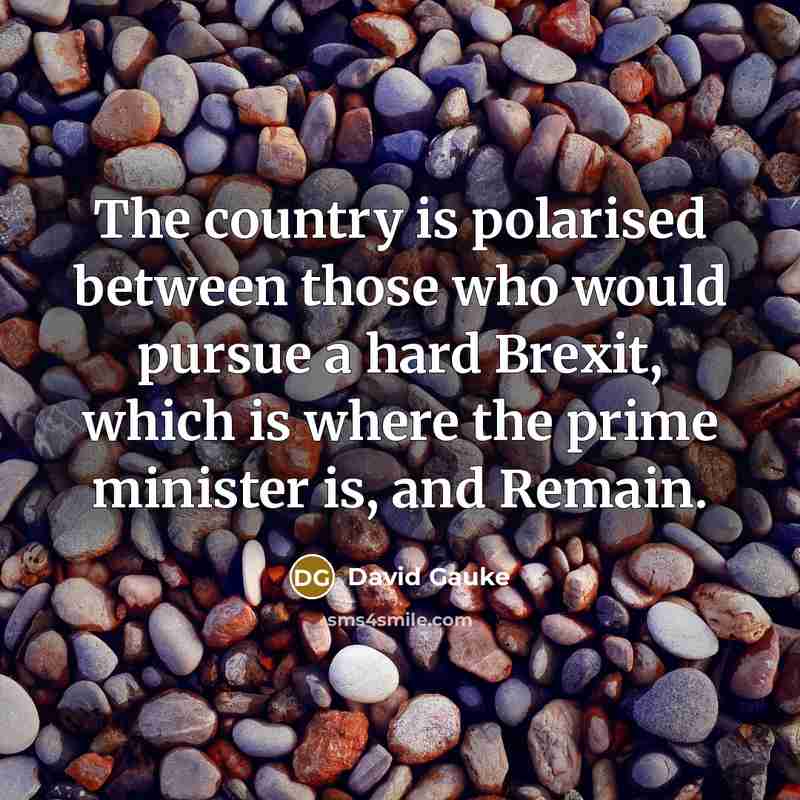 “The country is polarised between those who would pursue a…” quote by David Gauke