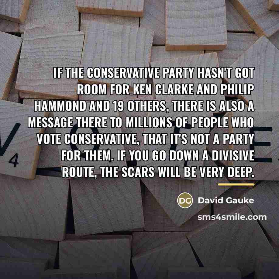 “If the Conservative party hasn't got room for Ken Clarke…” quote by David Gauke